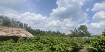 Bán 20000M2 đất mặt tiền sông khu Bình Quới Thanh Đa  TPHCM  giá 465 tỷ