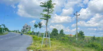 Bán Đất  DT 31x102(200m2 thổ cư) MT Hùng Vương, TX LaGi, BÌnh Thuận. Giá RẺ