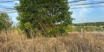 Bán 5.8 sào đất ONT Nguyễn Chí Thanh - Tân Bình - TX LaGi gần UBND GIÁ MỀM