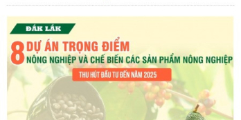 Gia đình cần bán 2 lô đất tại chợ Phú Lộc Chỉ TTT 240 Triệu Có Sổ Đỏ