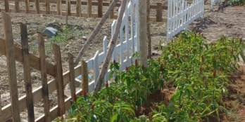 Thanh toán 370 tr nhận 100m2 xây dựng,sang tên công chứng ngay.lh: 0832.369.628