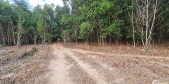 Bán 117 x 93 đất đường Lương Định Của - TX LaGi 2 Mặt tiền, giá gốc 128tr/m ngan