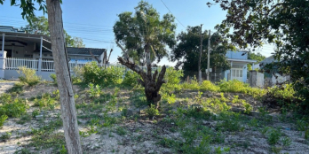 bán đất trung tâm P.Tân An, TX LaGi DT 10x29 nở hậu 16m, kdc đông đúc. giá rẻ