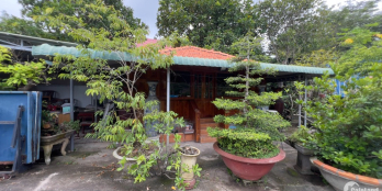 bán nhà vườn 2537m2 Lý Thường Kiệt, P.Tân An, TX LaGi. Giá chỉ 3,5 triệu/m2