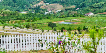 Bán đất thổ cư gần chùa Linh Ẩn chỉ 560 triệu, QH full thổ cư