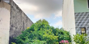 Bán Đất 110m2 Đ.Nguyễn Duy Trinh, KDC Đông Tăng Long, Q9. Giá Nhỉnh 5 Tỷ