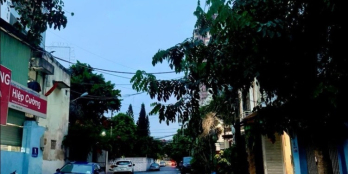 QUẬN 11, HẺM XE TẢI THÔNG CƯ XÁ LỮ GIA, P15, 116M2 ĐẤT- 14 TỶ TL