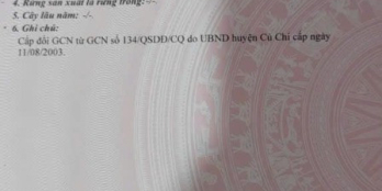 hàng ngợp tại Củ Chi 12 x 21m (660tr) không có lô thứ hai