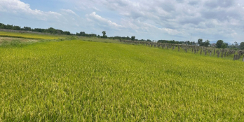 Bán 670m2 đất thổ cư Hẻm Lý Thái Tổ, Thị xã LaGi giảm giá 50% còn 1 tỷ