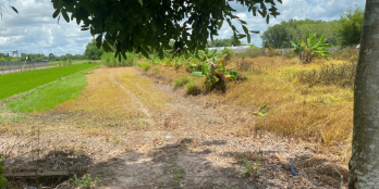 Chính chủ cần bán gấp đất trồng cây tại Củ Chi với diện tích 1603m2