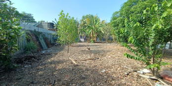 BÁN RẺ LÔ ĐẤT VEN SÔNG SIÊU ĐẸP XÂY BIỆT THỰ, KHU NGHỈ DƯỠNG RẤT THÍCH HỢP