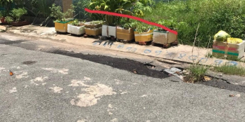 bán nền đất Hóc Môn , Nguyễn Thị Thử , công viên hồ cá Kol Nhật Bản.