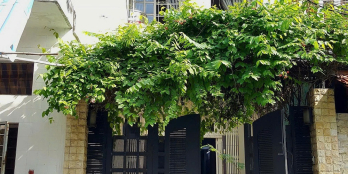 MTKD Dân Chủ – Tân Phú DT 4x20m, 4 tầng. Vị trí đẹp