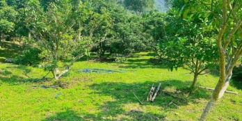 Chú em cần bán mảnh đất vườn - View ngay Hồ Trị An - Đồng Nai, chính chủ, pháp l