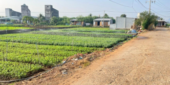 Cơ hội sở hữu đất nền thổ cư tại Thống Nhất, Đồng Nai - Vị trí đắc địa, giá hợp