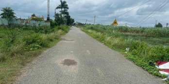 ĐẤT KHỦNG XUÂN THỚI SƠN HÓC MÔN 8.000M2, NGỘP BANK GIẢM ĐẾN 9TỶ, GIÁ CHỈ CÒN 3.6