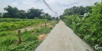 Vị Trí Vàng! Đất Thổ Cư 132m² Tây Ninh, Gần KCN Hiệp Thạnh, Giá Chỉ 650 Triệu!