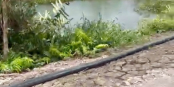 Đất bán chính chủ 42,5m mặt tiền ven kênh Đức Hòa sát quốc lộ N2 giá 7tr/m2