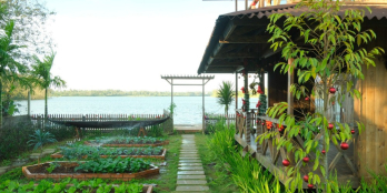 Đất Farm hạ giá - lộc lớn cho KH, đất trên đồi ngắm hồ Trị An