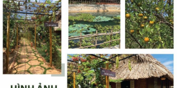 Cần bán 3000m2, nằm gần hồ Trị An, giảm 100 triệu/sào còn 655 triệu