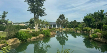 Chỉ với 750 triệu đồng, Sở hữu ngay một miếng đất thổ cư 160m2 tại Bầu Hàm