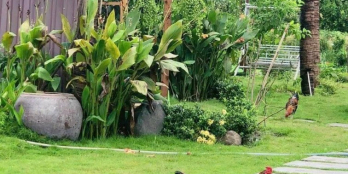 Đất vườn xã Phú Ngọc - cầu La Ngà hồ Trị An giá 539 Triệu /1000m2