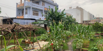 NGUYỄN VĂN QUÁ 1.058M2(20X54), GIẢM 5TỶ BÁN GẤP, GIÁ NHỈNH 40TRM2 QUÁ RẺ