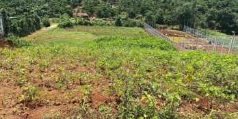 Đất Vườn Nghỉ Dưỡng Hồ Trị An Đồng Nai Giá Mềm