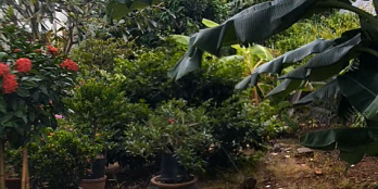 Lô đất rộng 390m2 cách biển Phước Hải 5km gần QL55 cần bán.