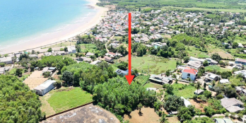 Bán vườn có thổ cư ven biển Bình Hải 1133mv có 500mv thổ cư, giá 1.1triêu/m2.