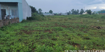 Đất full thổ cư 10x30 Lê Văn Hưu, liền kề trường học Bùi Thị Xuân