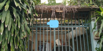 Nhà BTCT 3 tầng - Linh Trung - HXH - 4PN – 90m2 – 5,8 tỷ