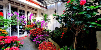 BÁN NHÀ CẤP 4 GIÁ SỤP HẦM ĐƯỜNG HẢI PHÒNG, CÓ KHOẢNG SÂN RỘNG ĐẸP