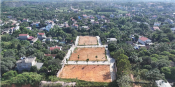 Chuyển nhượng 15 lô đất khu dân cư Phố Hội ,Yên Thọ, Đông Triều, Quảng Ninh