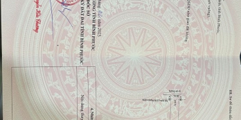 CHÍNH CHỦ BÁN NHANH LÔ ĐẤT- 1011M2(10M×101M)-SÁT KCN MINH HƯNG HÀN QUỐC