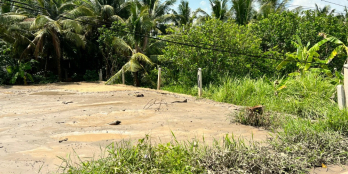 Bán đất đường ô tô gần cầu Rạch Miễu 2, ấp Thới Hòa, xã Thới Sơn.