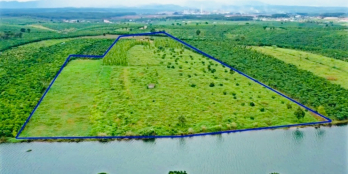 ️    BÁN ĐẤT VIEW HỒ CÁNH BƯỚM - BẢO LÂM, LÂM ĐỒNG    ️