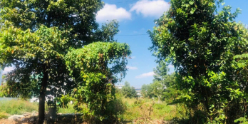 Bán đất biệt thự KDC dự án Huy Hoàng, phường Thạnh Mỹ Lợi, Q2, HCM