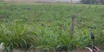 Mình cần bán nhanh 2 lô đất chính chủ có sổ hồng sẵn