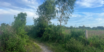 chỉ 530 triệu sở hữu ngay BDS 5x32 full thổ cư, đường ôtô, xã Tân Bình, TX LaGI