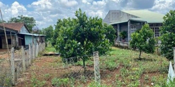 BÁN LỖ 2580M2 ĐẤT Ở NGAY KHU CÔNG NGHIỆP SÁT ĐƯỜNG TỈNH. GIÁ 210TR/SỔ