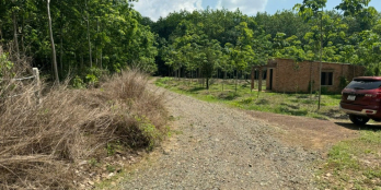 Bán 3 xào cao su, View sông BéNgay Tỉnh Lộ 758 Tân Hưng, Hớn Quản, 3.090m2 265tr