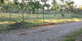 Bán 1 xào cao su, View sông, Ngay Tỉnh Lộ 758 Tân Hưng, Hớn Quản, 1037m2 265tr