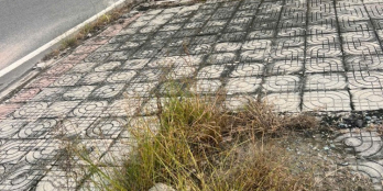 180TR SỞ HỮU ĐẤT THỊ XÃ CHƠN THÀNH SỔ SẴN LIỀN KỀ KCN BECAMEX 2067ha