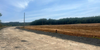 đất sào 1000m2 chỉ 340tr 1 sào