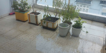 Quận 8 - 63m2 - 4 tầng 4PN giá chỉ nhỉnh 4 tỷ.