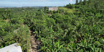 Vườn nghỉ dưỡng gần hồ Trị An, khí hậu trong lành, vị trí đẹp