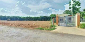 KẸT TIỀN BÁN GẤP 2.290M2 SỔ RIÊNG, NGAY KHU CÔNG NGHIỆP DÂN ĐÔNG. GIÁ 160TR/SỔ