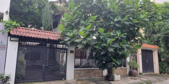 nhà 12x20m đường số 77 phường tân Quy Q7. 1 trệt 1 lầu