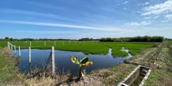 Bán lô đất 1200m2 gần QL22, Xã Phước Hiệp, Huyện Củ Chi, TP HCM